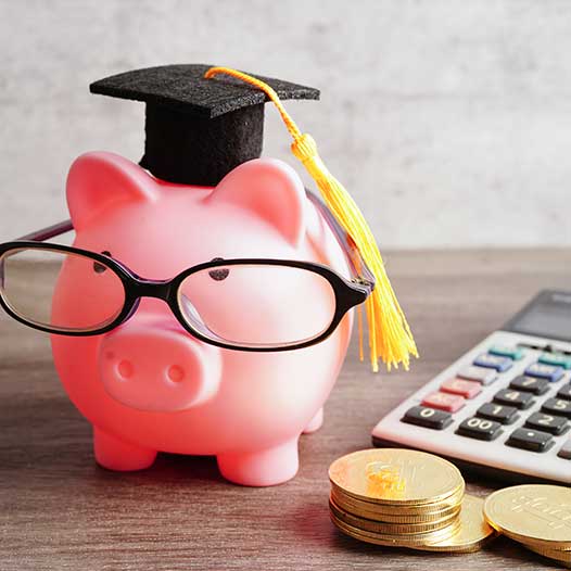 MCO (Management commercial opérationnel) carcassonne,BTS MCO carcassonne,Lycée saint louis Carcassonne,BTS MCO TS MCO Carcassonne,Lycée Saint-Louis, BTS commerce Carcassonne,formation commerciale Aude, BTS alternance Carcassonne, Management Commercial Opérationnel,lycée Saint-Louis Carcassonne, BTS MUC Carcassonne,école commerce Aude 11,formation post-bac Carcassonne,brevet de technicien supérieur, BTS MCO