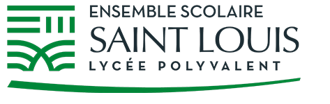 lycee general, technologique et professionnel a carcassonne